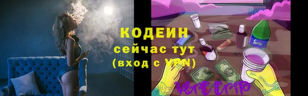 мет Бородино