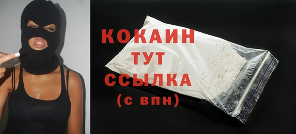 мет Бородино