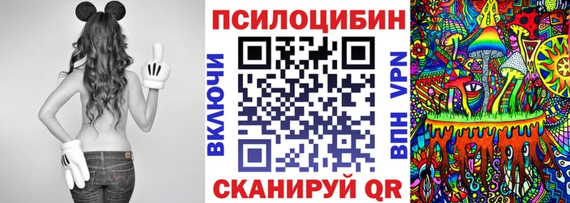 закладка  даркнет телеграм  Псилоцибиновые грибы прущие грибы  Ессентуки  mega ONION 